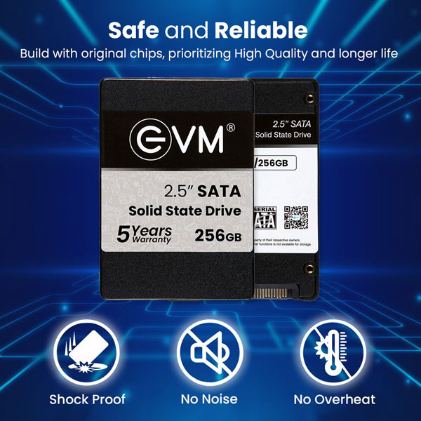 EVM EVM25 256GB 3D NAND SATA 2.5 inch Internal SSD Solid State Drive