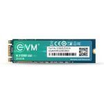Evm 256GB M.2 SSD